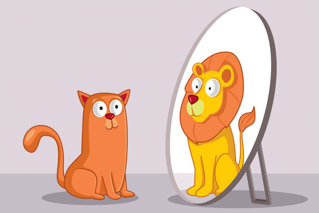 Eine Katze sieht sich in einem Spiegel als Löwen, dargestellt als Cartoon